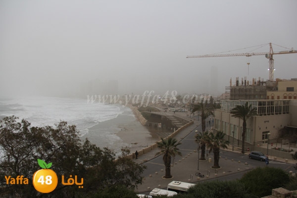 mina2 adrar jfe (23).jpg